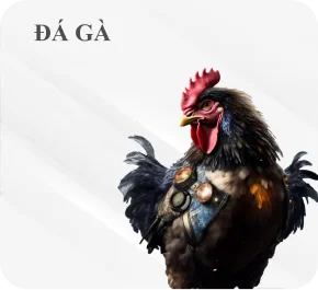 mm88-da-ga